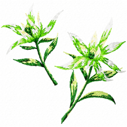 Flowers And Tree Embroidery Design 11